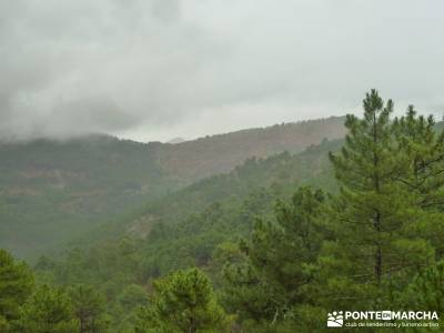 Valle de Iruelas - Pozo de nieve - Cerro de la Encinilla;senderos galicia senderos gran recorrido